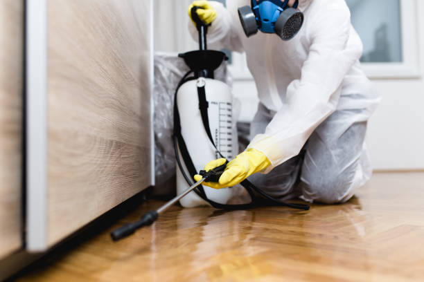 Best Local Pest Control Services  in Mount Sterling, OH