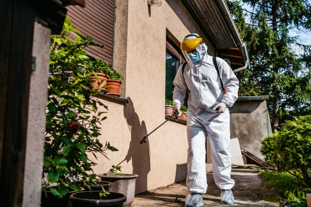 Best Ant Control Services  in Mount Sterling, OH