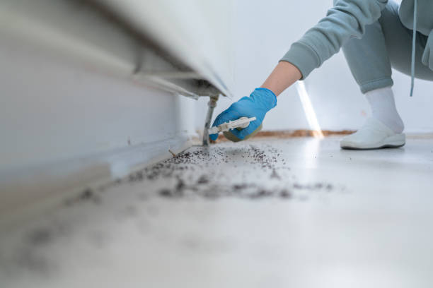 Best Wasp Removal Services  in Mount Sterling, OH