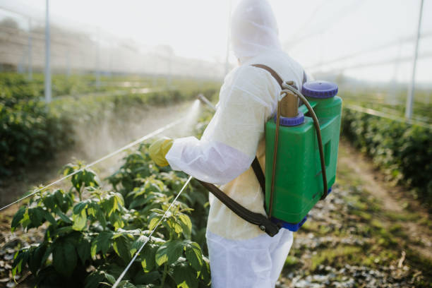 Best Affordable Pest Control Services  in Mount Sterling, OH